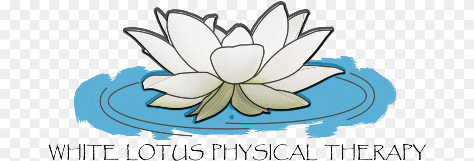 White Lotus Physical Therapy Sacred Lotus, Flower, Lily, Plant, Pond Lily Png