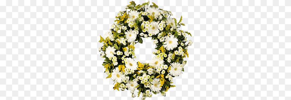 White Medium Gerberas Wreath Chamomile, Plant, Flower, Flower Arrangement, Flower Bouquet Free Png Download