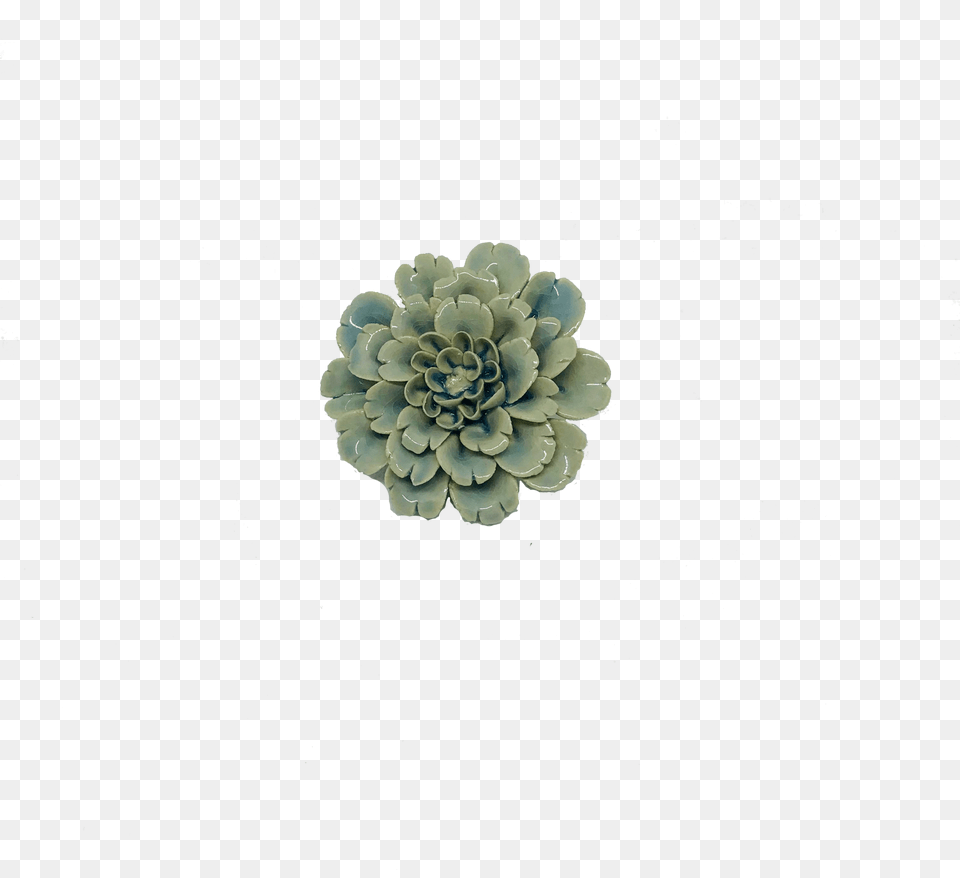 White Mexican Rose, Dahlia, Flower, Plant, Graphics Free Transparent Png