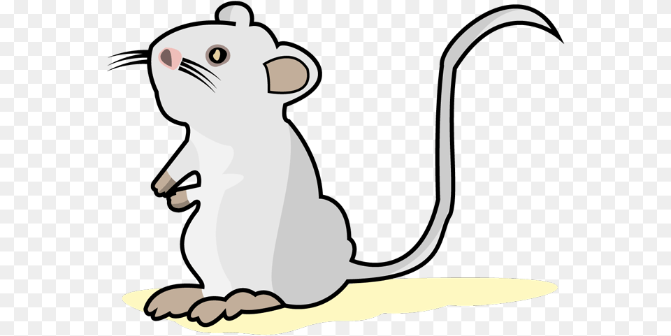 White Mouse Cartoon, Animal, Mammal, Rodent, Fish Free Png Download