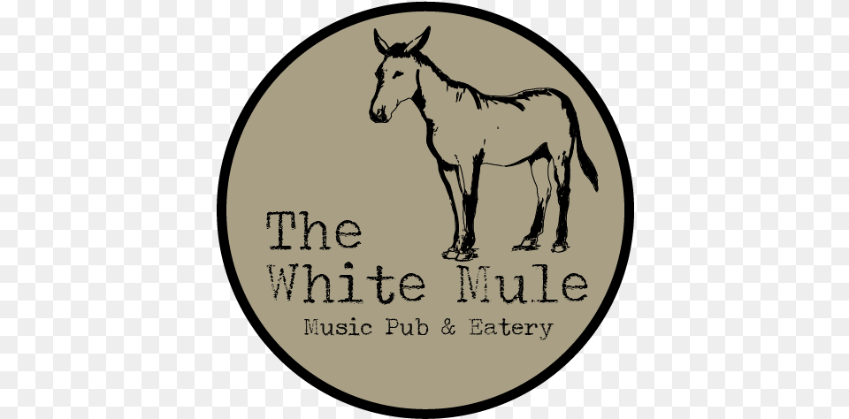 White Mule White Mule, Animal, Horse, Mammal, Colt Horse Png