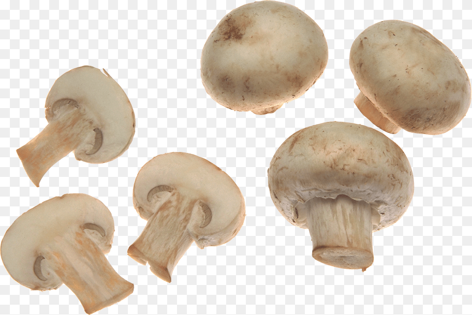 White Mushrooms Image Mushroom, Plant, Fungus, Food, Egg Free Png