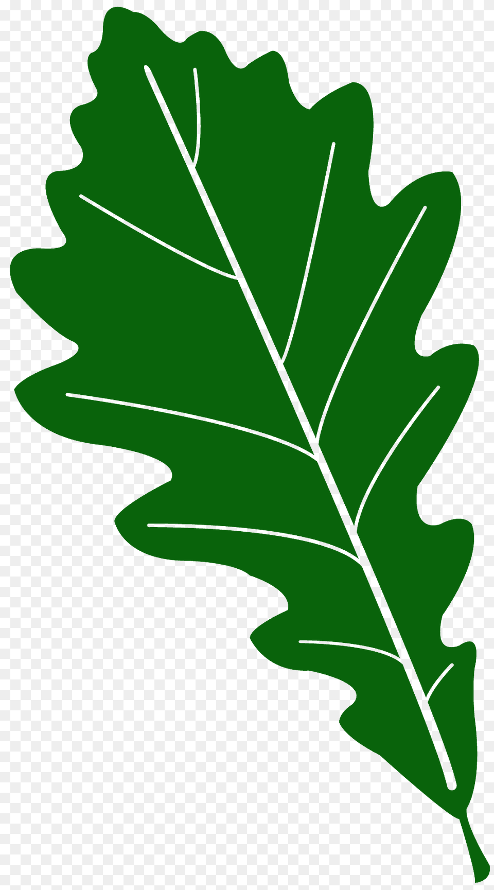 White Oak Leaf Silhouette, Plant, Tree, Food, Produce Free Png Download