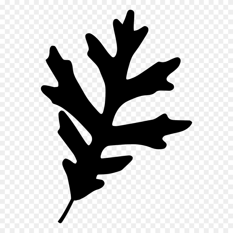 White Oak Leaf Silhouette, Plant Free Png Download