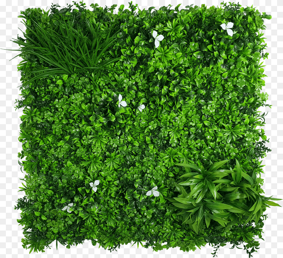White Oasis Vertical Garden Hedge Panel Artificial Green Wall Sheets Free Transparent Png