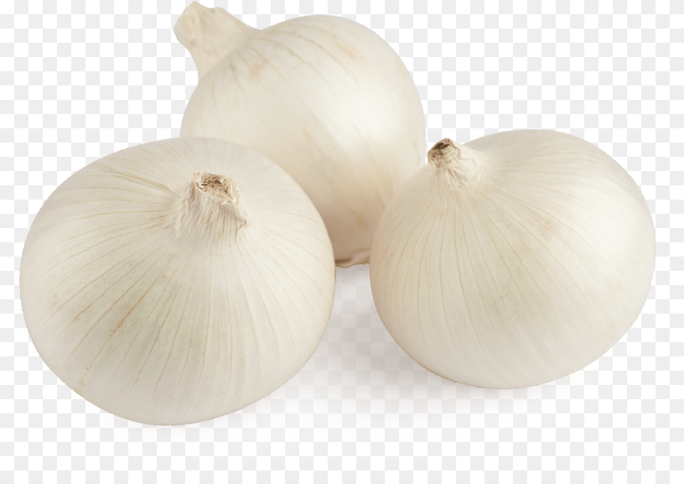 White Onion Cebolla Blanca, Food, Produce, Plant, Vegetable Png Image