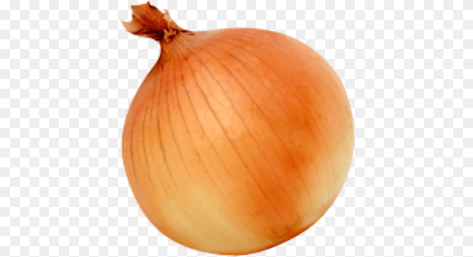 White Onion Yellow Onion Vegetable Background Onion, Produce, Plant, Food, Shallot Png Image