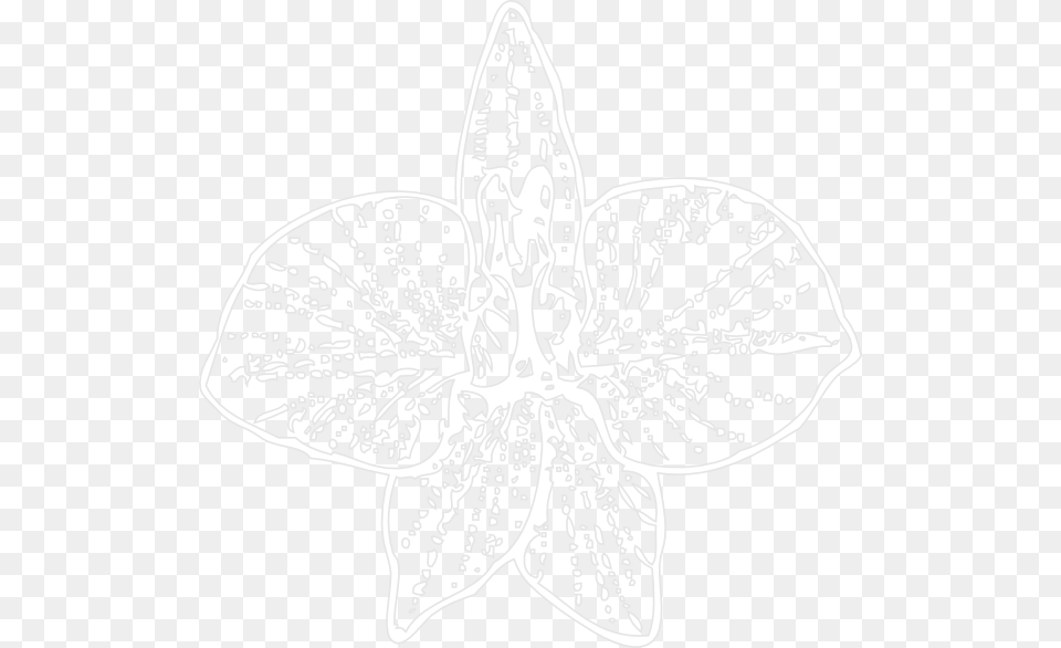 White Orchid Outline Svg Clip Arts Orchid, Art, Drawing, Leaf, Plant Png