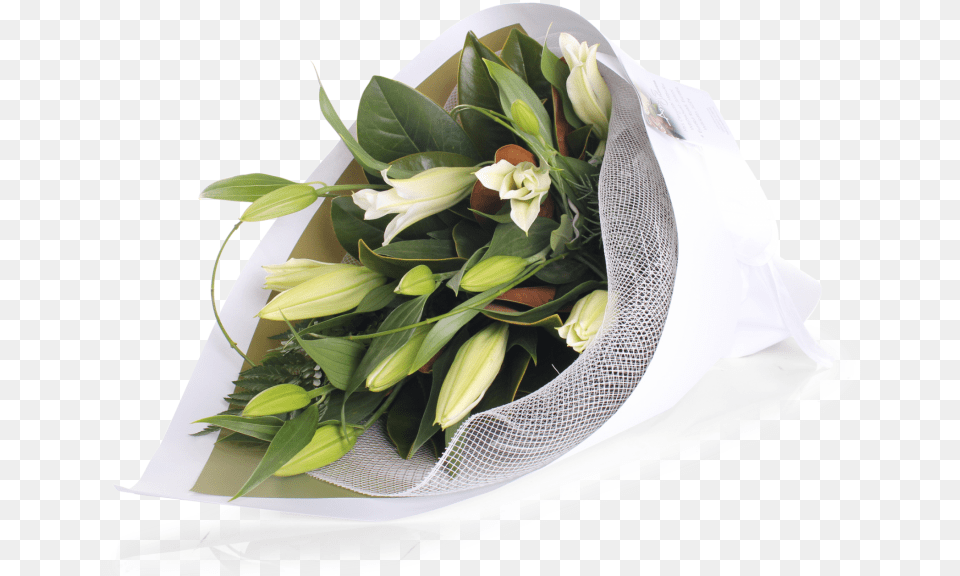 White Oriental Lily Bouquet, Flower, Flower Arrangement, Flower Bouquet, Plant Png