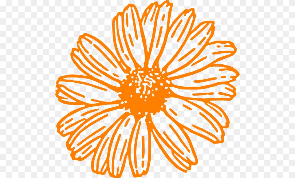 White Outline Flower Clipart, Anther, Daisy, Petal, Plant Free Png
