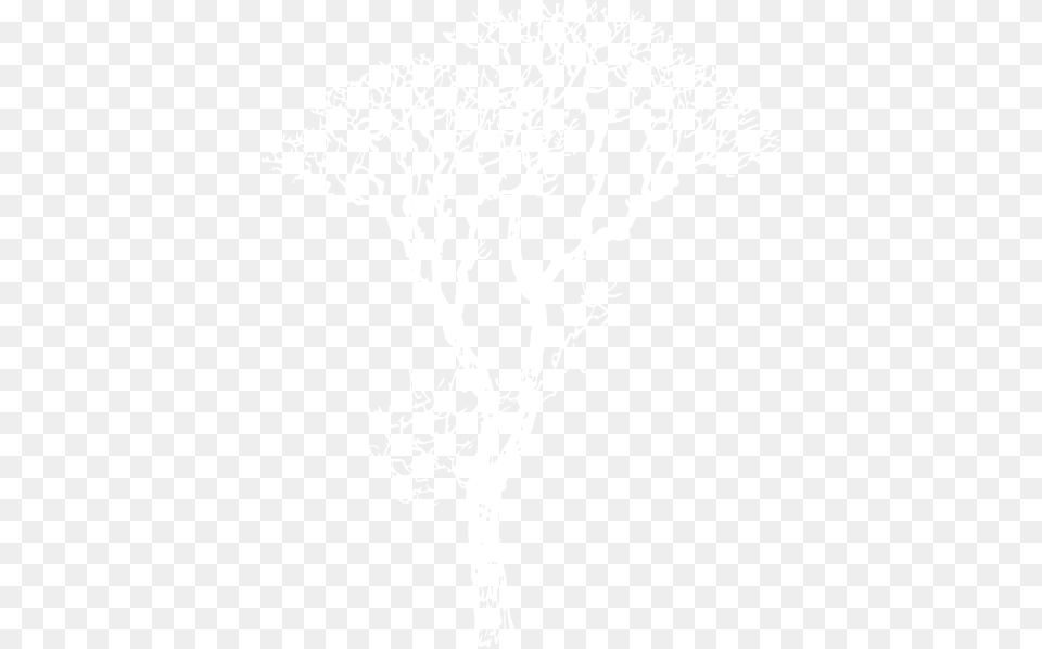 White Outline Of A Tree Transparent White Outline Of A Tree, Art, Drawing, Doodle, Animal Png
