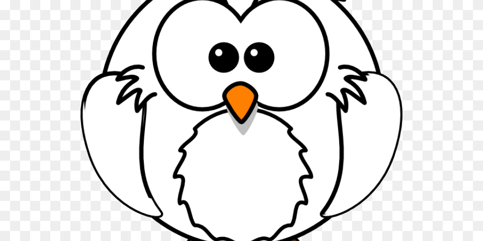 White Owl Cliparts Cartoon Owl, Animal, Beak, Bird, Nature Png Image