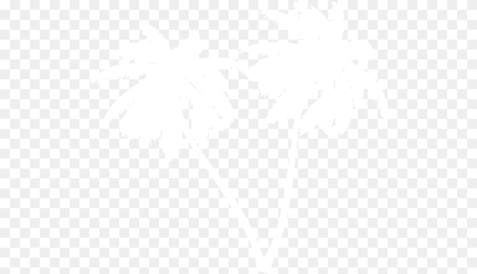 White Palm Leaf Transparent Cartoon Jingfm Palm Tree White, Palm Tree, Plant, Stencil, Silhouette Free Png Download