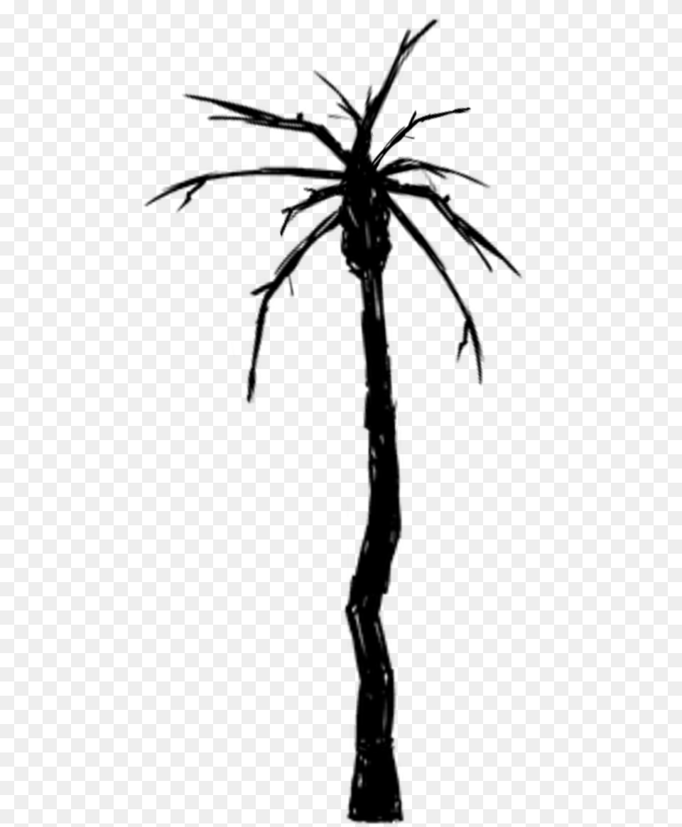 White Palm Tree Movieweb, Gray Png