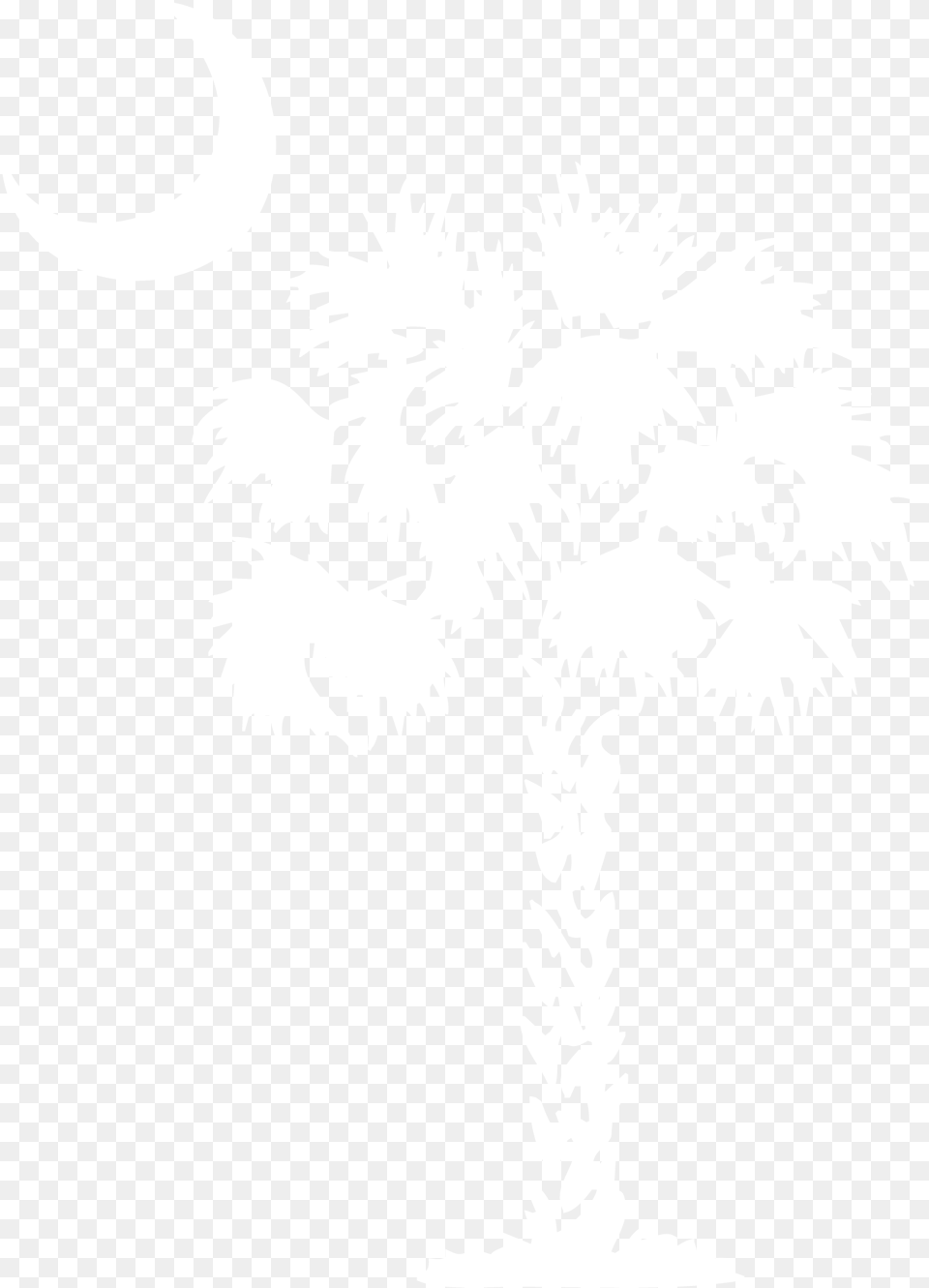 White Palm Tree With Background, Palm Tree, Plant, Stencil, Baby Png