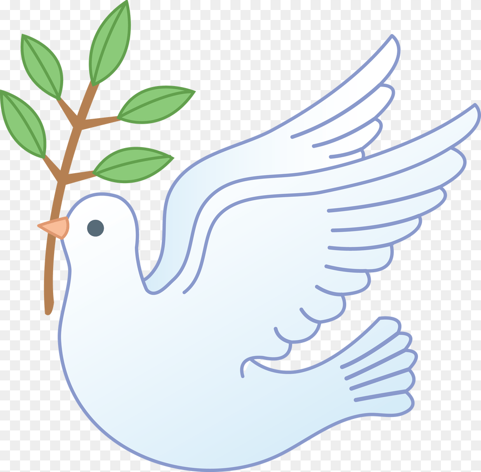 White Peace Dove With Branch Birds Fowl Color, Animal, Bird, Pigeon Free Transparent Png