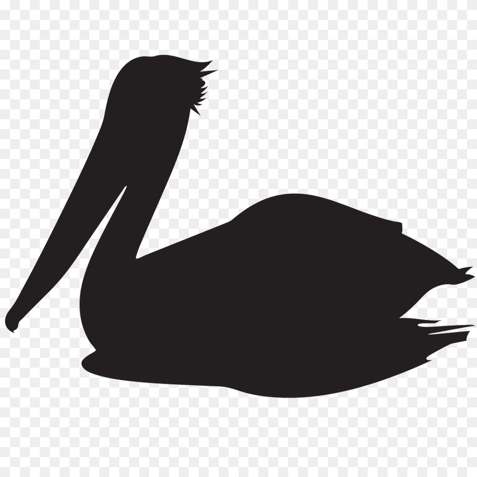 White Pelican Transparent Arts, Silhouette, Animal, Bird, Waterfowl Free Png Download
