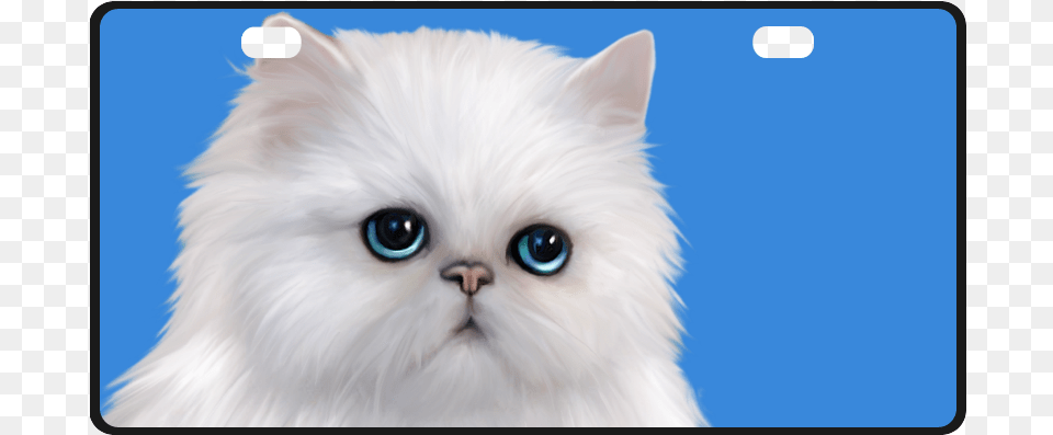 White Persian Cat License Plate Kitten, Angora, Animal, Mammal, Pet Free Transparent Png