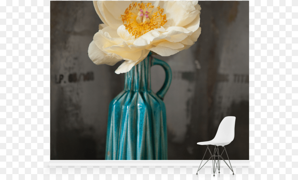 White Petals, Flower, Flower Arrangement, Flower Bouquet, Jar Png Image