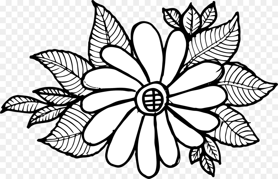 White Petals, Art, Floral Design, Graphics, Pattern Png Image