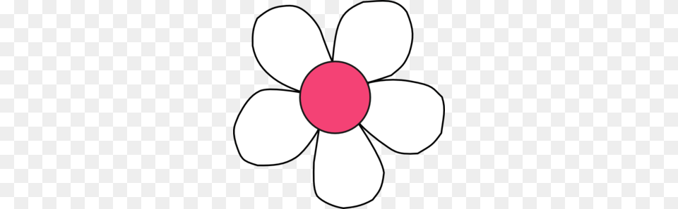 White Pink Daisy Clip Art, Anemone, Flower, Plant, Petal Free Transparent Png