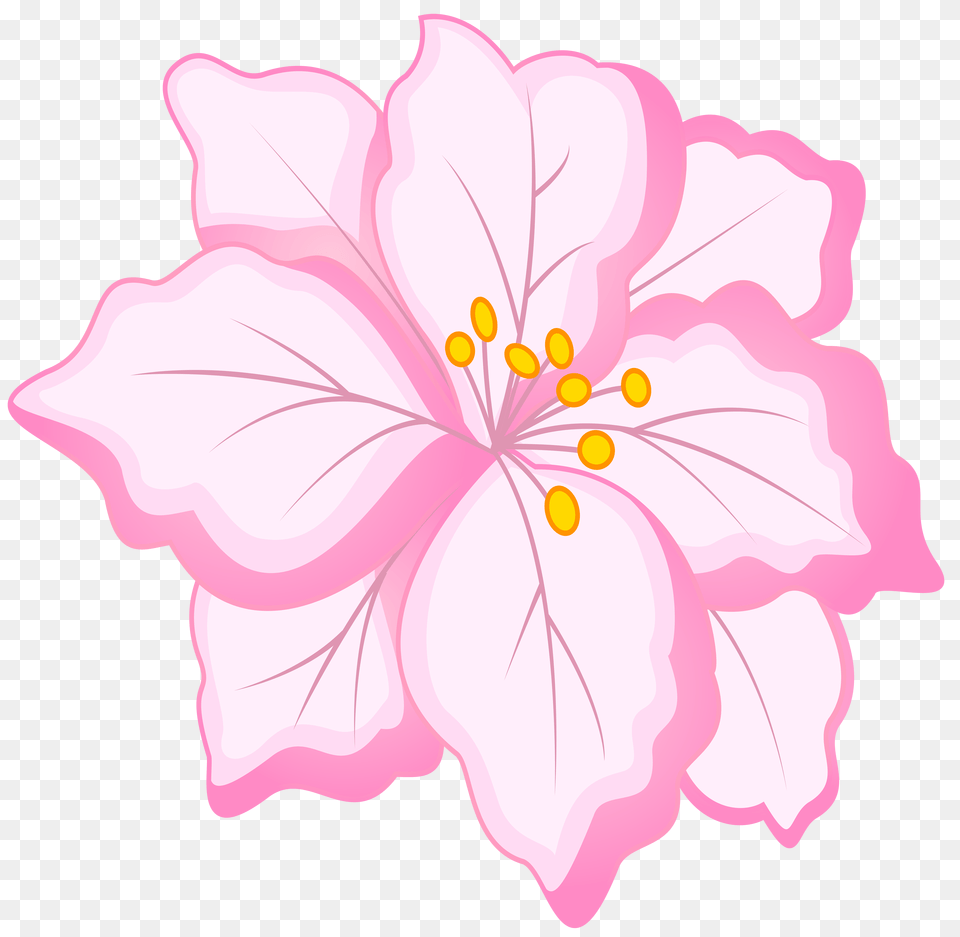 White Pink Flower Clip Art, Plant, Hibiscus Png