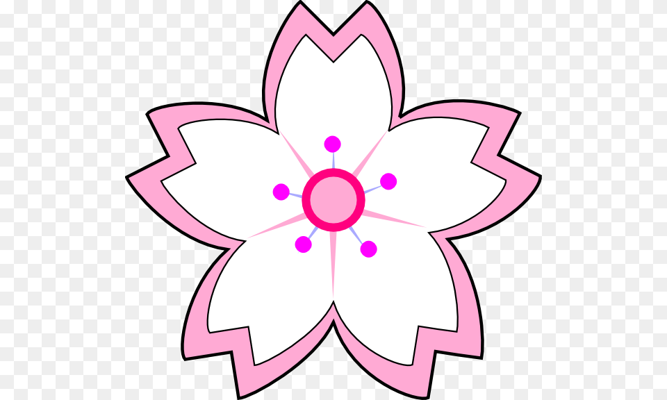 White Pink Sakura Clip Arts For Web, Flower, Plant, Dahlia, Anemone Png