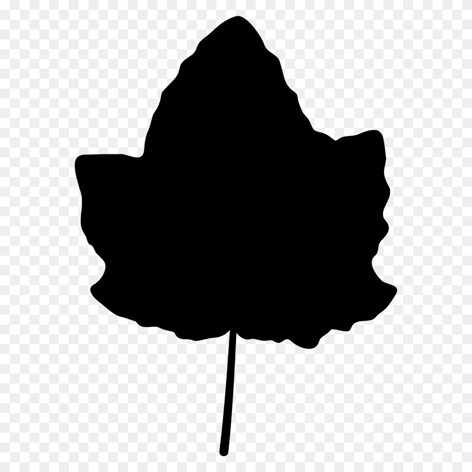 White Poplar Leaf Silhouette, Plant, Clothing, Hat Free Transparent Png