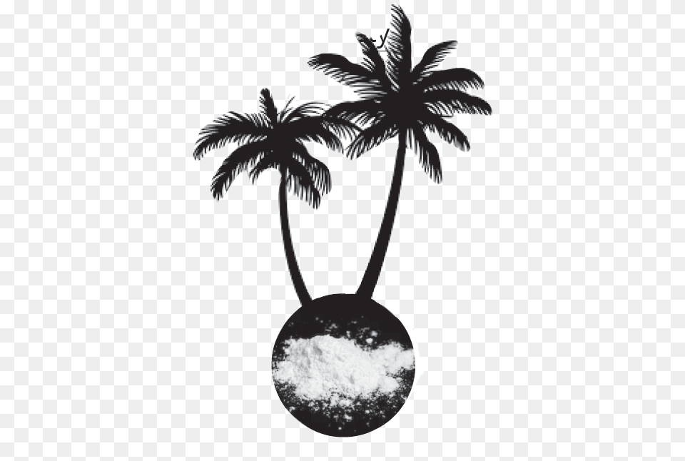 White Powder In The Blue Continent Transparent Palm Tree Silhouette, Palm Tree, Plant, Cutlery, Spoon Free Png