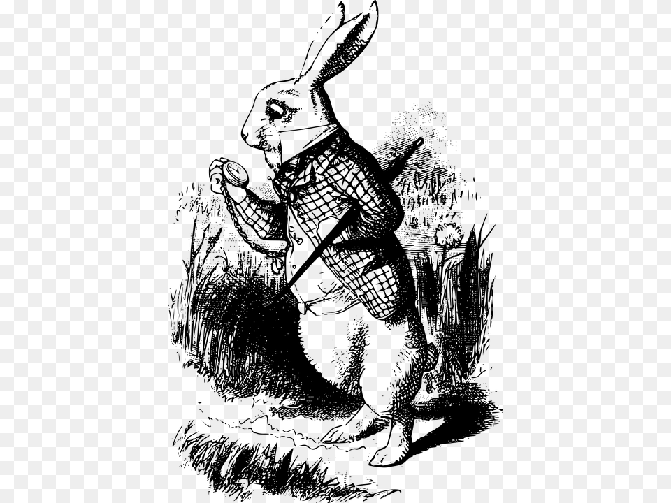 White Rabbit Alice In Wonderland Book, Gray Png