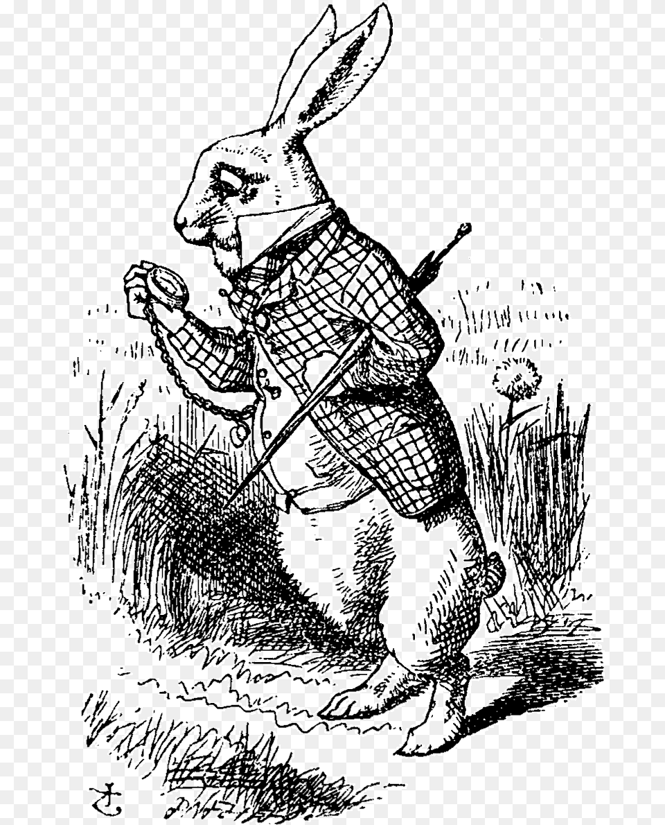 White Rabbit Alice In Wonderland Illustration, Adult, Bride, Female, Person Free Png