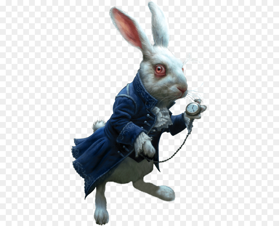 White Rabbit Alice In Wonderland Rabbit, Animal, Mammal, Hare, Rodent Png