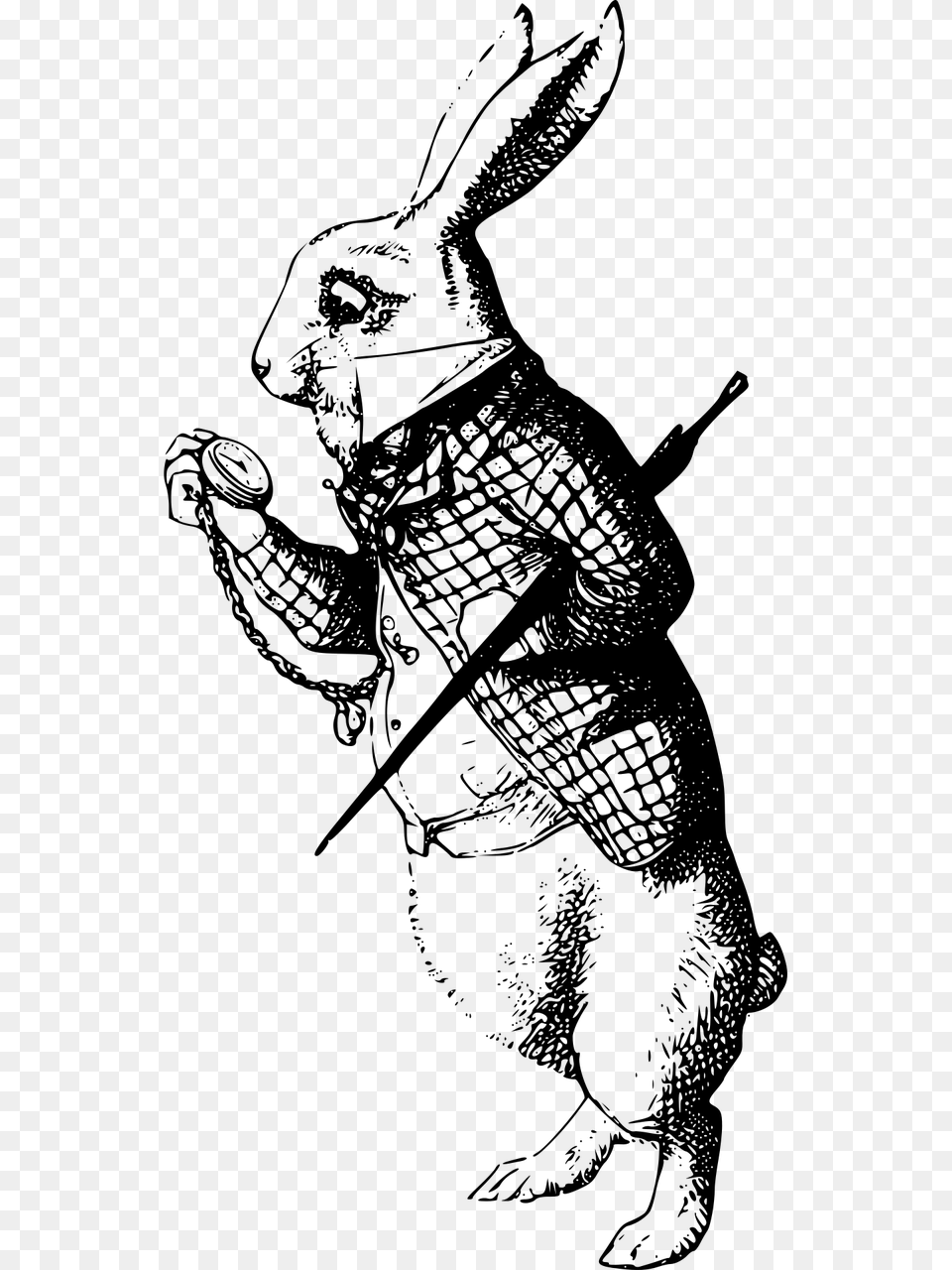 White Rabbit Alice In Wonderland Sketch, Gray Png
