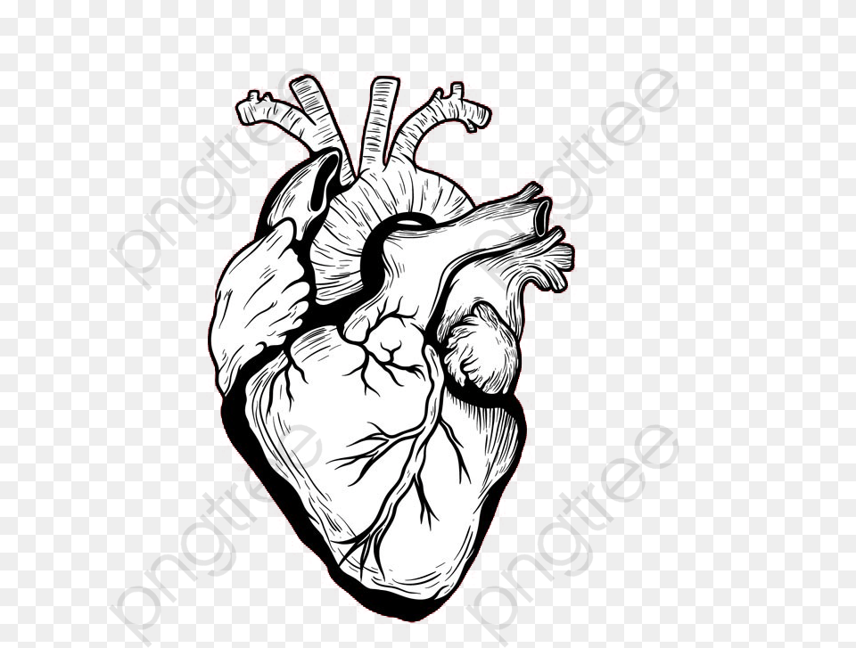 White Real Heart, Body Part, Hand, Person, Art Png