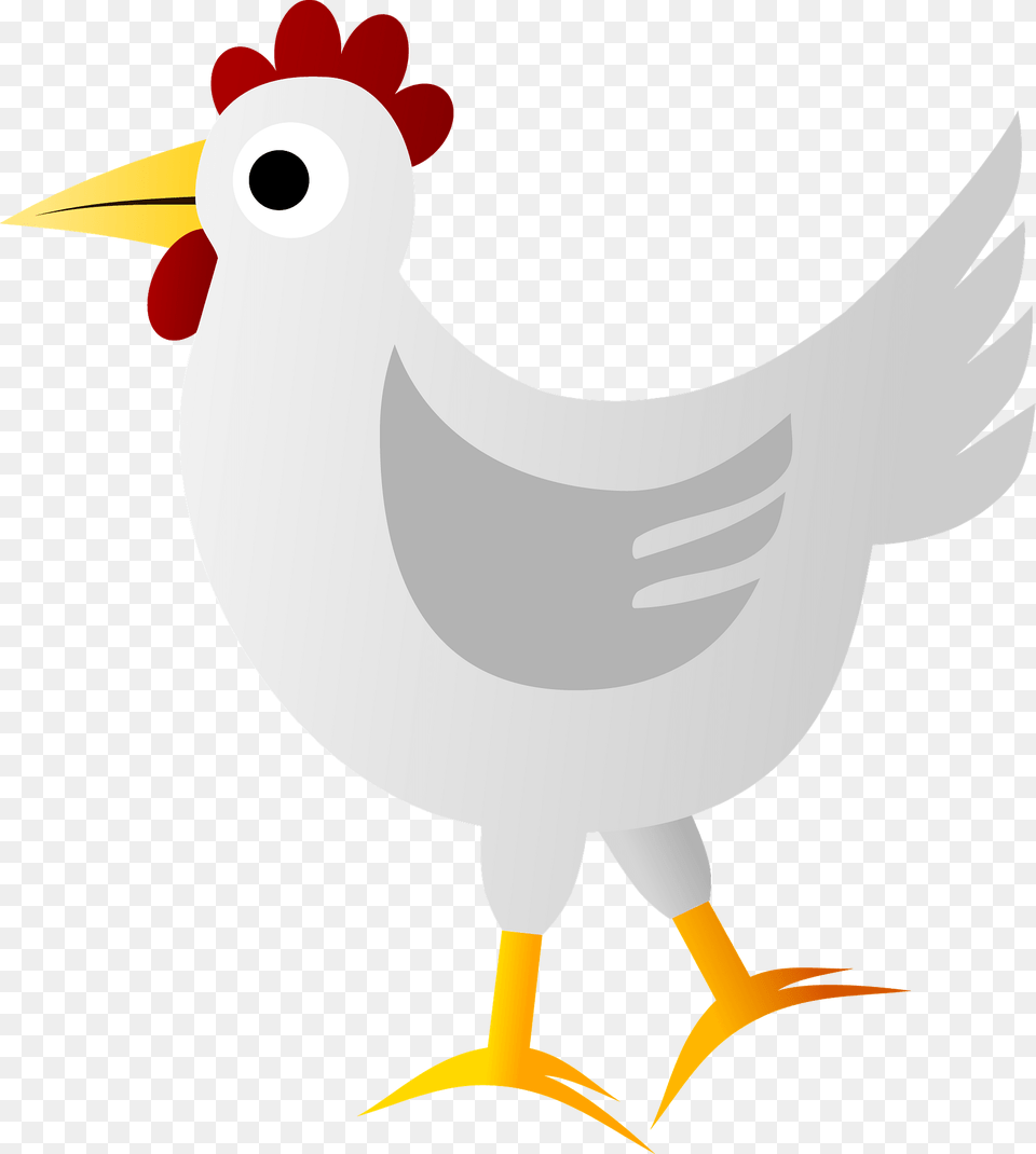 White Rooster Clipart, Animal, Bird, Fowl, Poultry Png Image