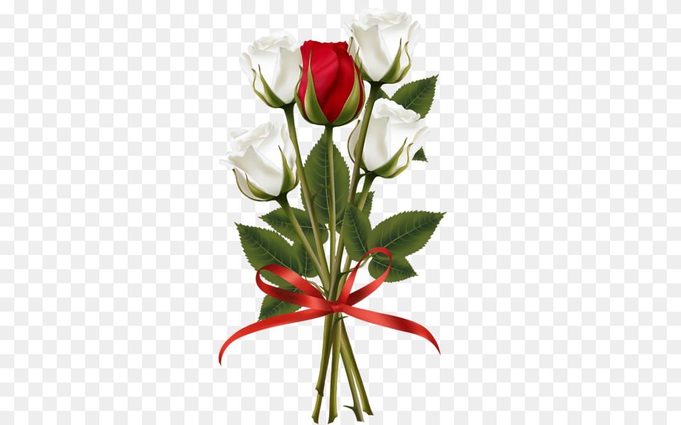 White Rose Bouquet, Flower, Flower Arrangement, Flower Bouquet, Plant Png Image