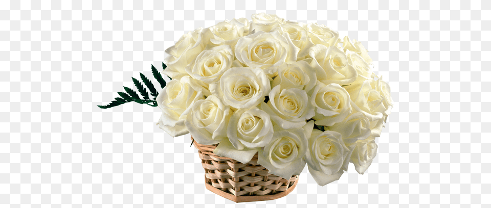White Rose Bouquet White Rose Bouquet, Flower, Flower Arrangement, Flower Bouquet, Plant Png