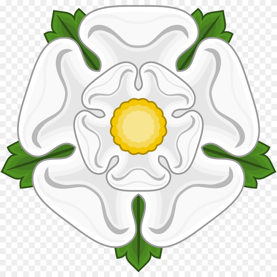 White Rose Clip Art, Anemone, Daisy, Flower, Petal Free Transparent Png