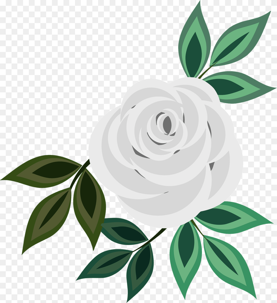 White Rose Clipart, Art, Floral Design, Flower, Graphics Free Png