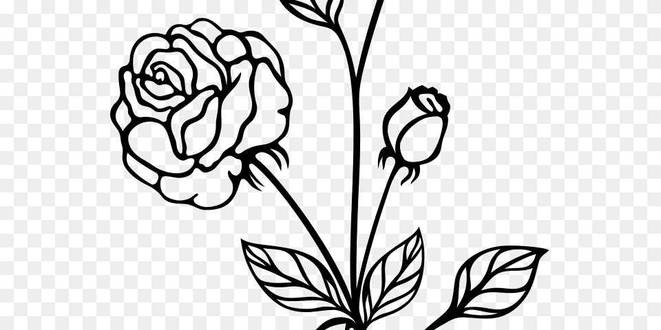 White Rose Clipart, Gray Free Png