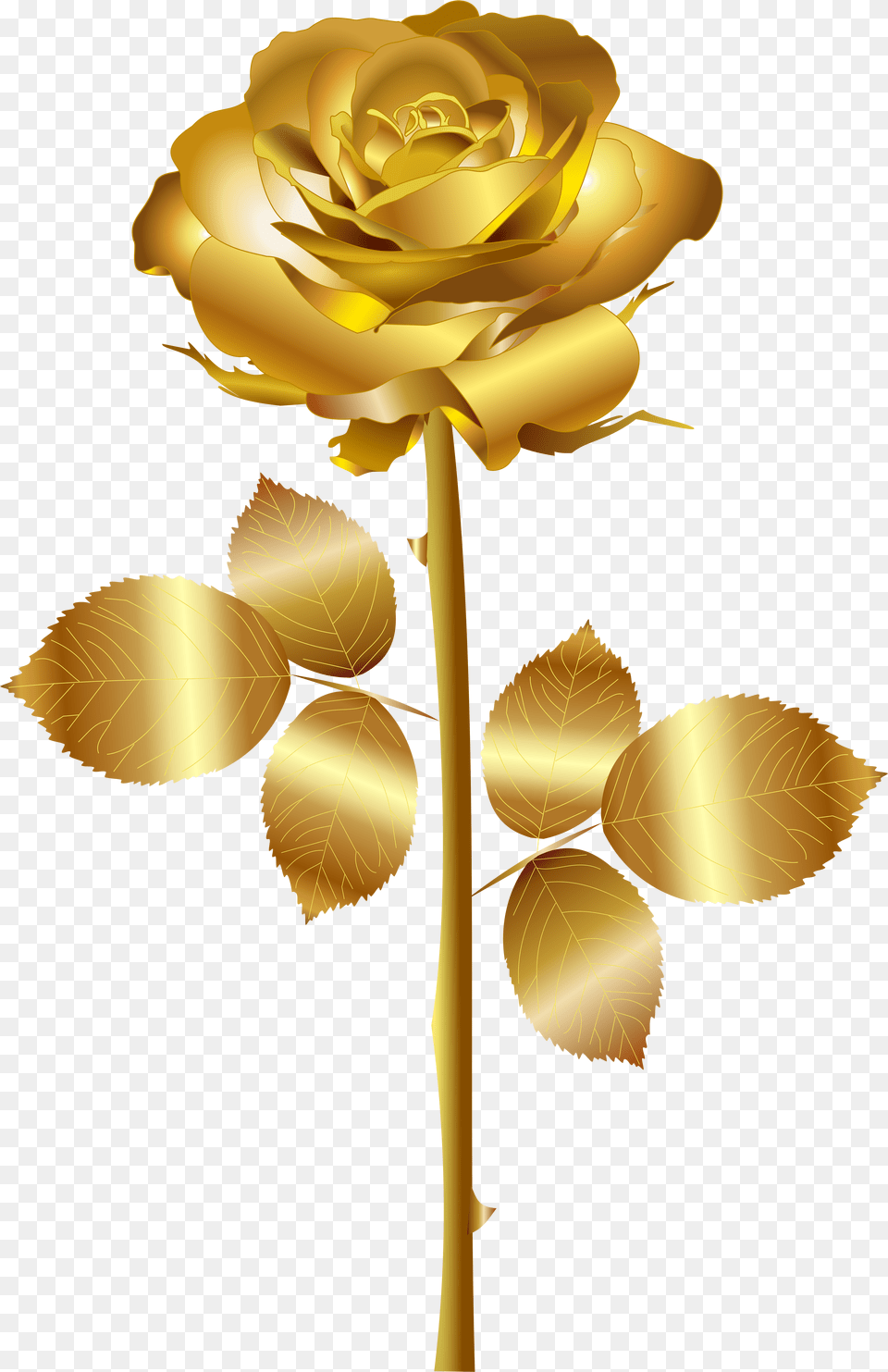 White Rose Clipart Format Gold Rose Vector Free Png Download