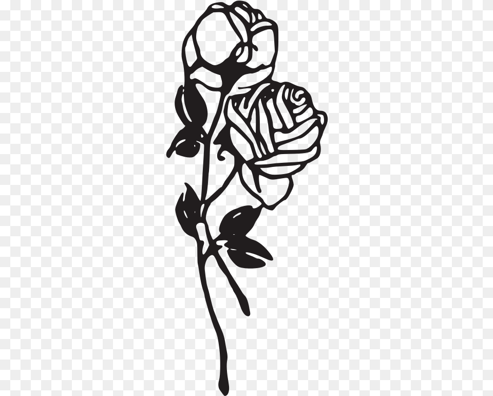 White Rose Clipart Format Rose Clipart Black And White, Stencil, Person, Art, Flower Png