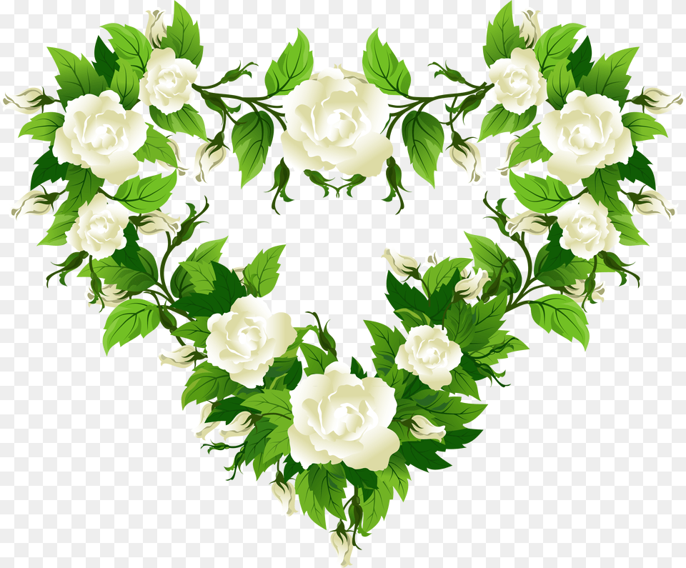 White Rose Flowers Transparent, Plant, Green, Flower, Graphics Png Image