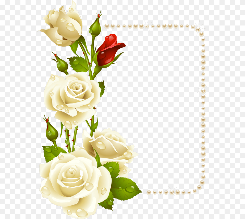 White Rose Frame, Art, Floral Design, Flower, Graphics Free Png Download