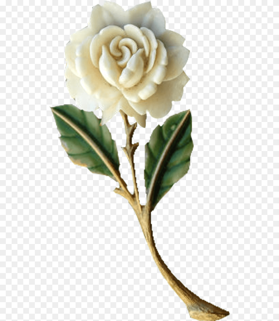 White Rose Granny Enchanted Blog Quot Chrome Swirl English Natpu New Friendship Kavithai In Tamil, Flower, Plant, Accessories Free Png