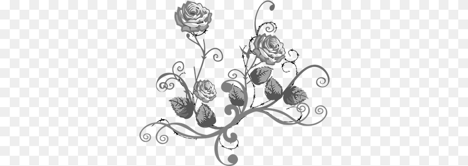 White Rose Illustrations Black White Flower, Art, Floral Design, Graphics, Pattern Free Png
