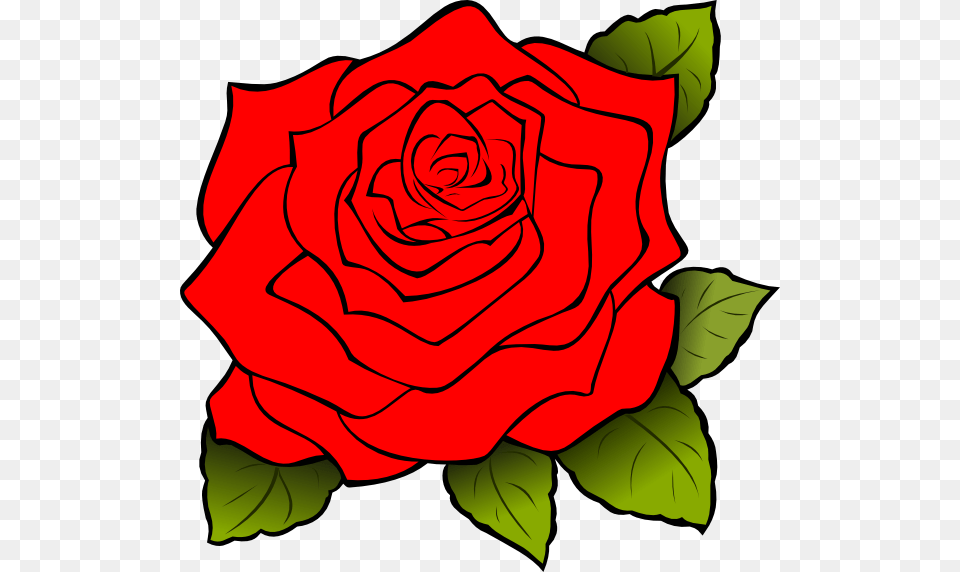 White Rose Svg Clip Arts Red Rose Icon, Flower, Plant Png Image
