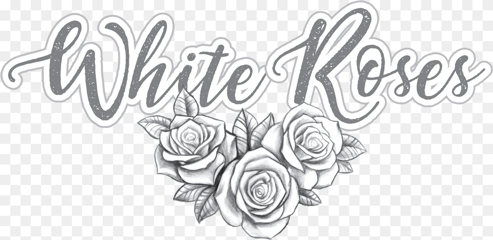 White Roses, Flower, Plant, Rose, Art Png