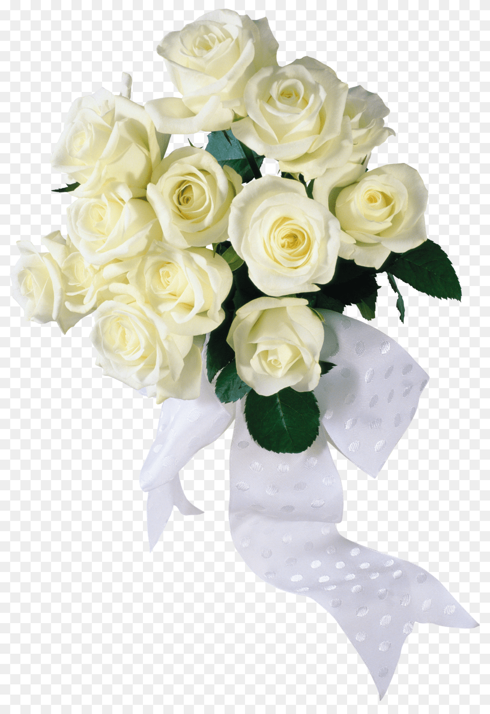 White Roses, Food, Sweets, Cookie, Gingerbread Png