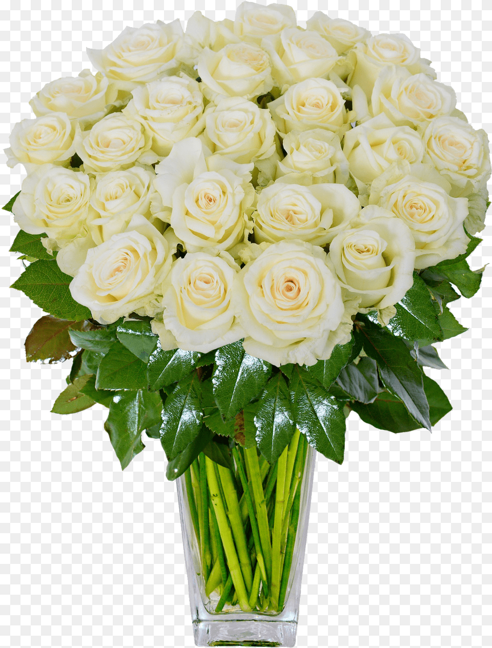 White Roses Background Image Green Roses In Vase, Flower, Flower Arrangement, Flower Bouquet, Plant Free Png Download